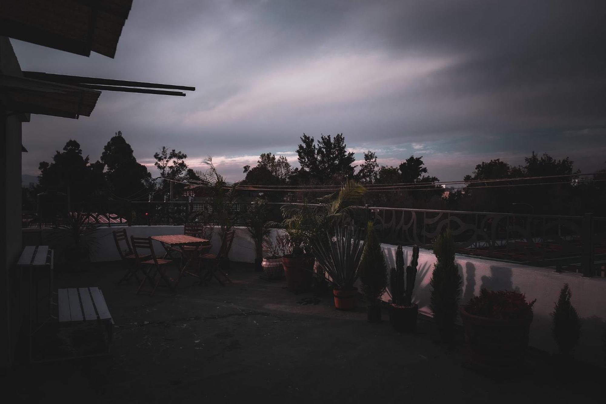 Appartement & Cozy With Rooftop View 1